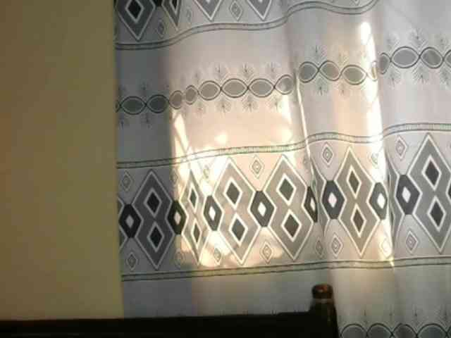 Monalisalisa webcam