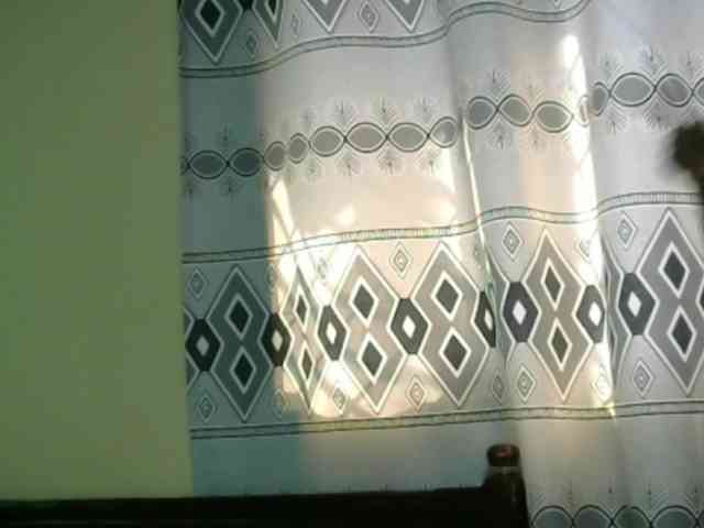 Monalisalisa webcam