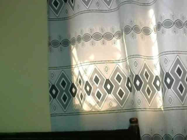 Monalisalisa webcam