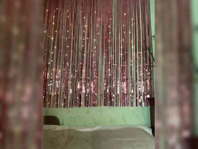 Sophialanguage webcam