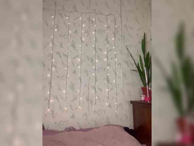 Sophialanguage webcam