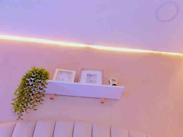 Willow-Wright webcam