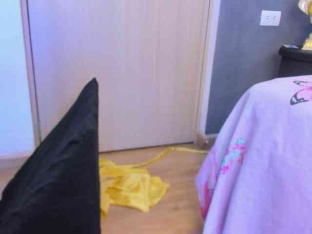 Willow-Wright webcam