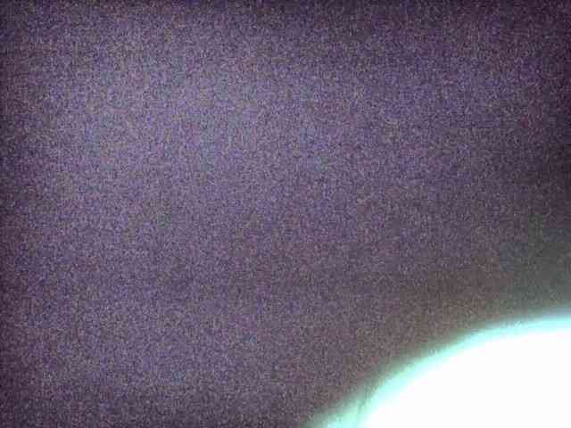Nastypussy webcam