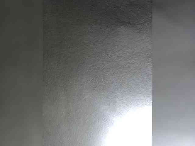 Dayana14 webcam