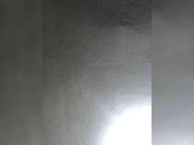 Dayana14 webcam