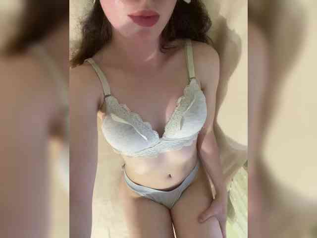ev19ka webcam