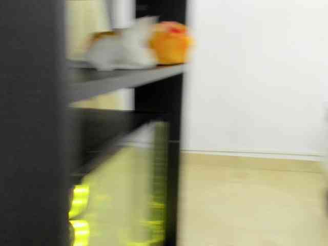 AmberDunlap webcam