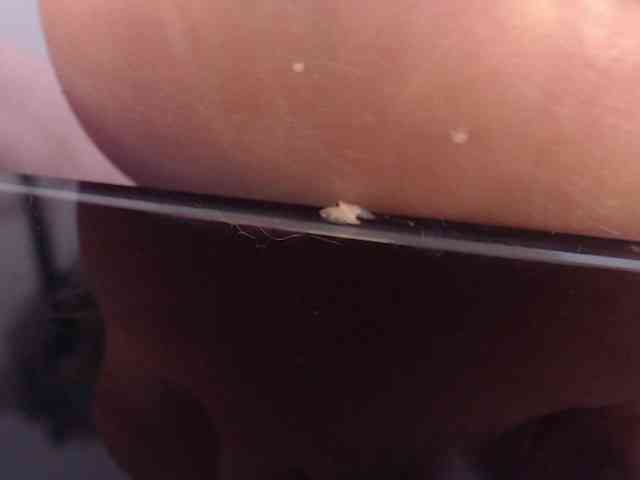 SophieWils webcam
