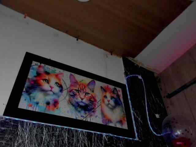 Bellotagirl Live Webcam on BongaCams