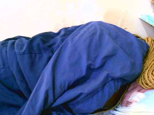 sweet-elena sweet-elena