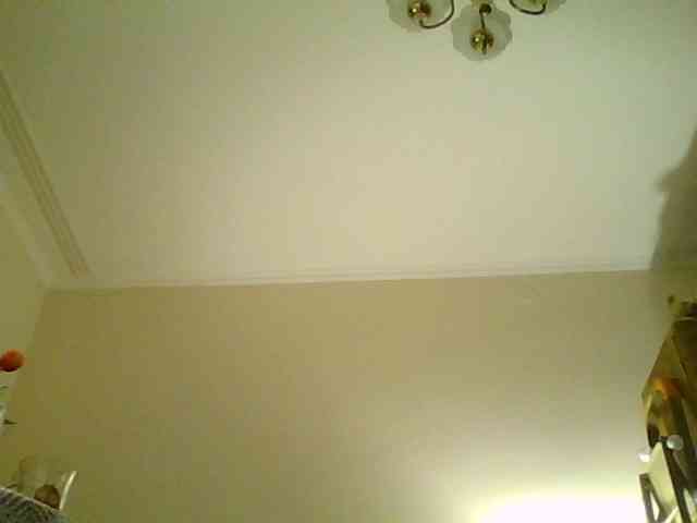 HollyLaPretty webcam