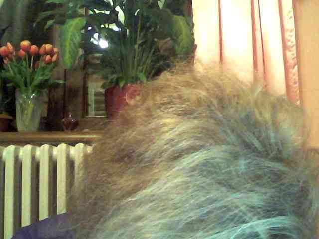 HollyLaPretty webcam