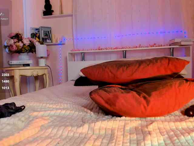 -Miray- webcam