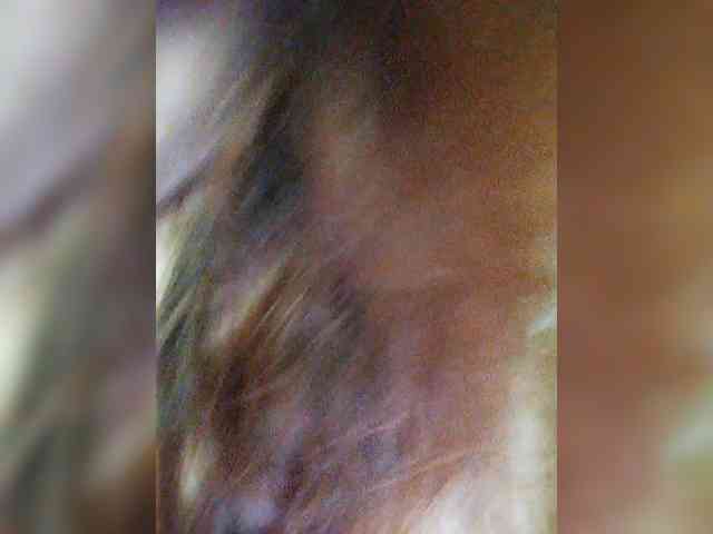 Foxz3a webcam