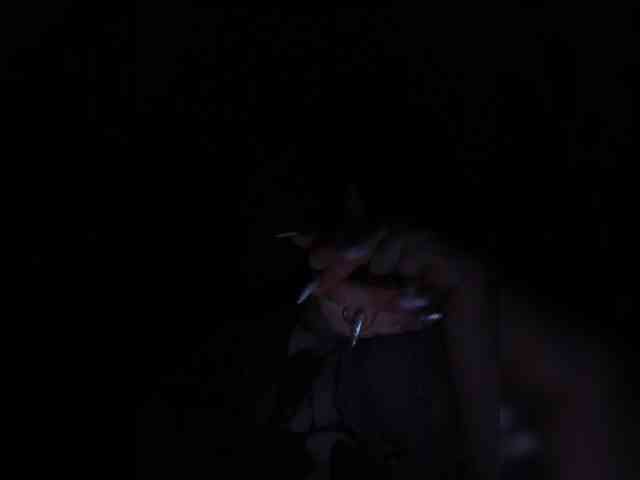 Theworldofdesires webcam