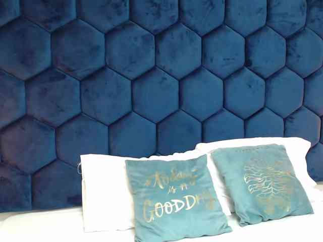 Secretdram-vc webcam