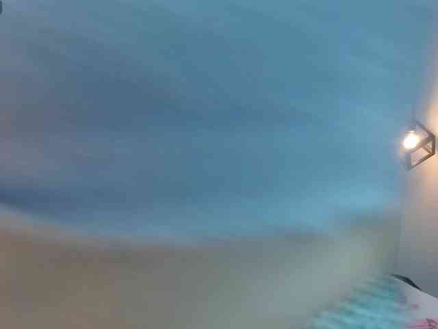 Secretdram-vc webcam