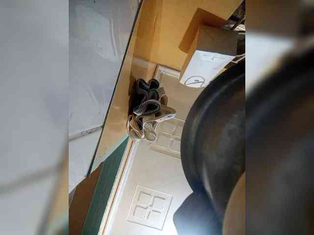 Badass4-1 webcam