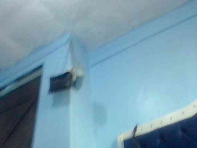 Bella5 webcam
