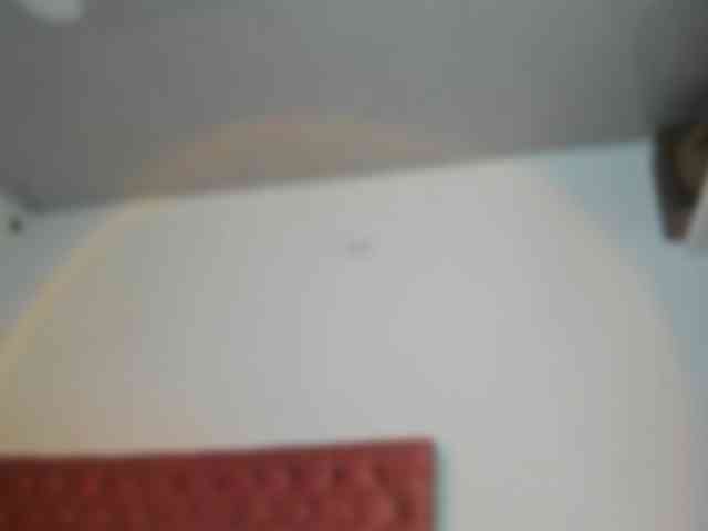 amarawilliams webcam