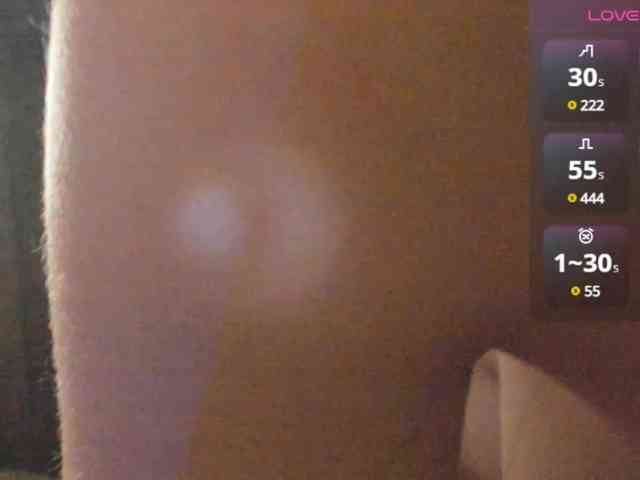 wwscok webcam