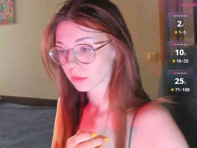wwscok webcam