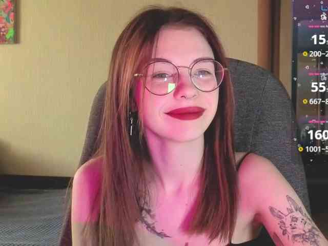 wwscok webcam
