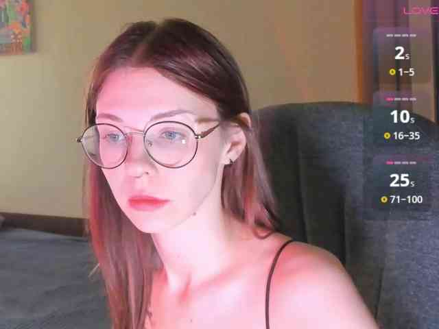 wwscok webcam