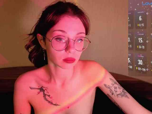 wwscok webcam