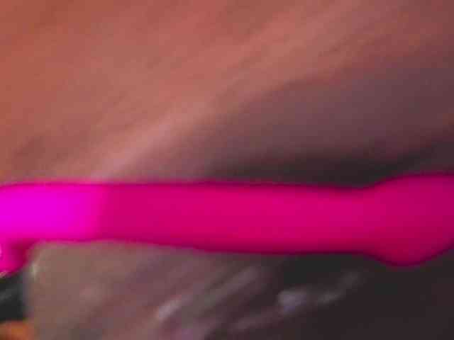 AliceParker webcam