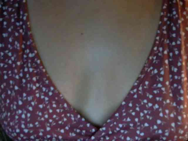 Sylvia-Willa webcam