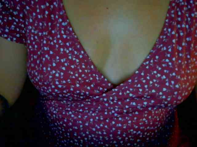 Sylvia-Willa webcam