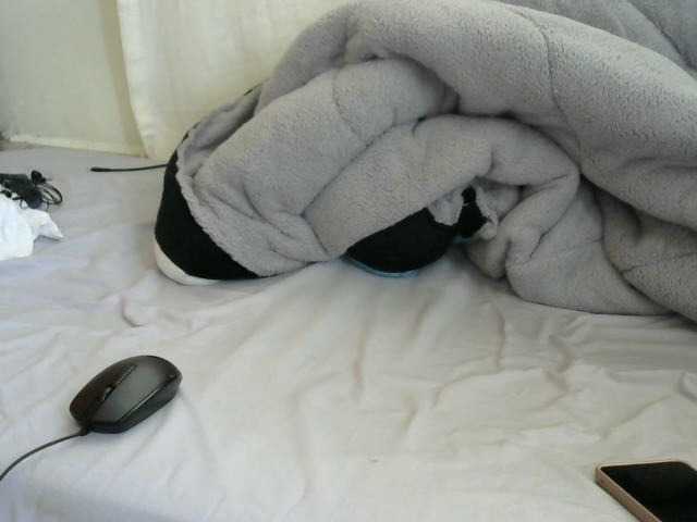  PashLeea chat room
