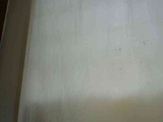 PashLeea webcam