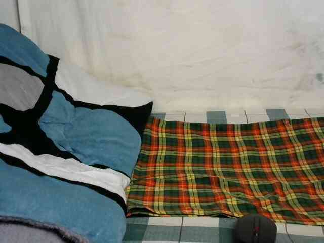 PashLeea webcam
