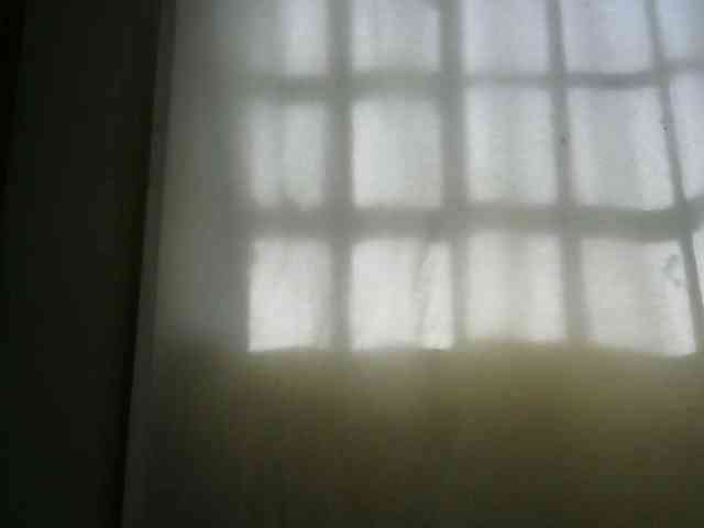 PashLeea webcam