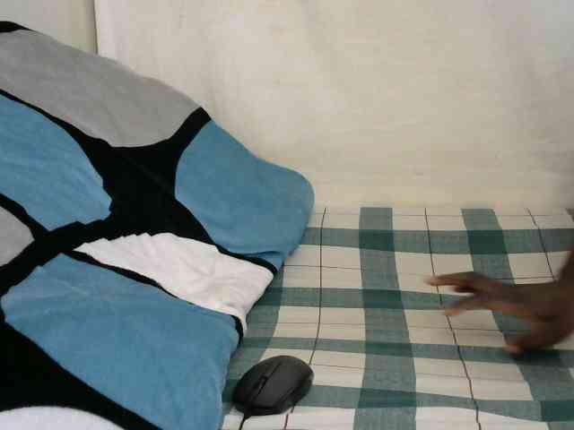 PashLeea webcam