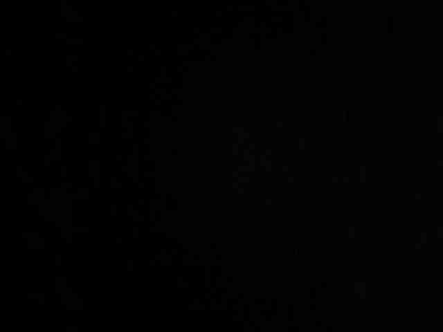 SilkandFir3 webcam