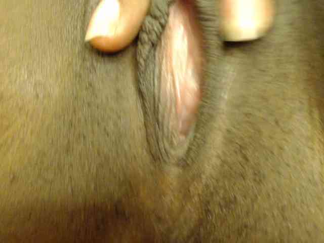 Sexylolah34 webcam