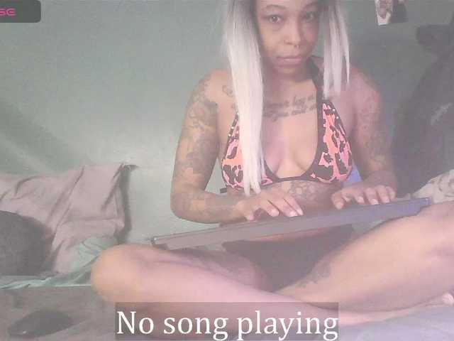 stella-clitella preview