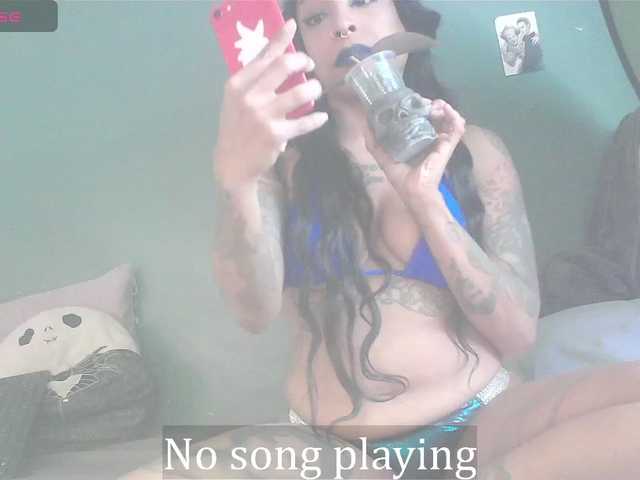 stella-clitella's BongaCams show and profile