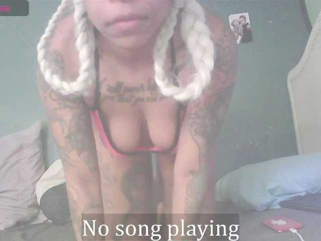 stella-clitella's BongaCams show and profile