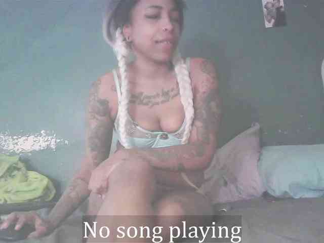 stella-clitella stella-clitella