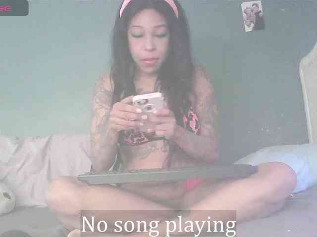 stella-clitella webcam