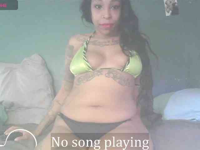 stella-clitella webcam