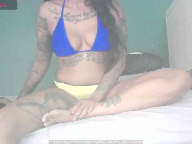 stella-clitella webcam