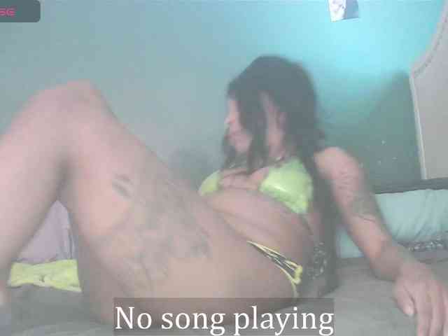 stella-clitella stella-clitella