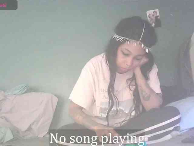 stella-clitella webcam