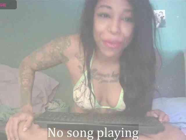 stella-clitella webcam